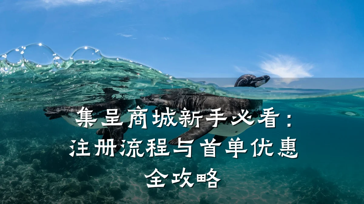 集呈商城新手必看:注册流程与首单优惠全攻略