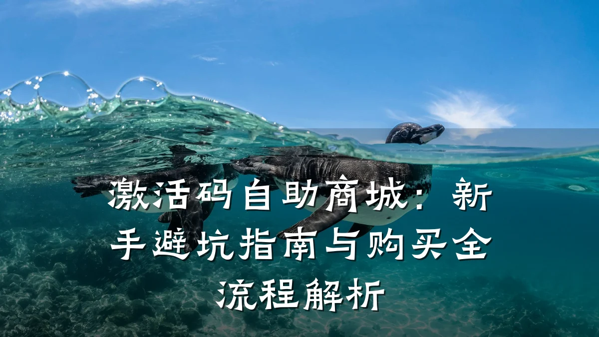 激活码自助商城:新手避坑指南与购买全流程解析