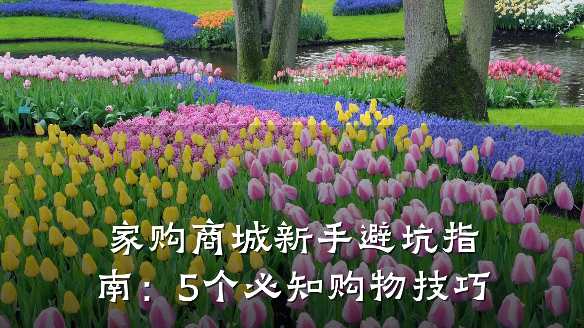 家购商城新手避坑指南:5个必知购物技巧