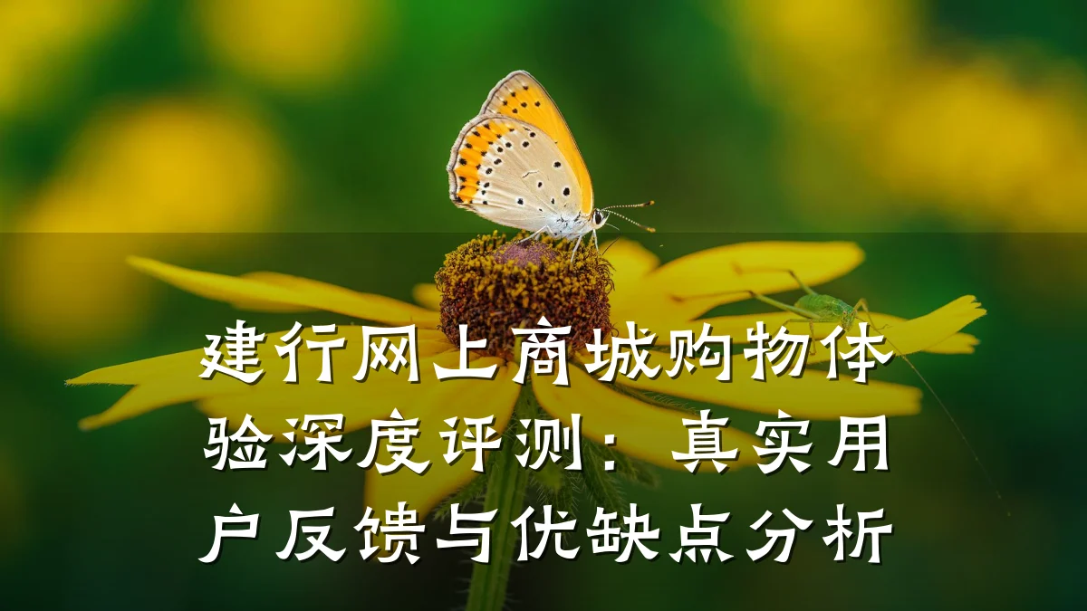 建行网上商城购物体验深度评测:真实用户反馈与优缺点分析
