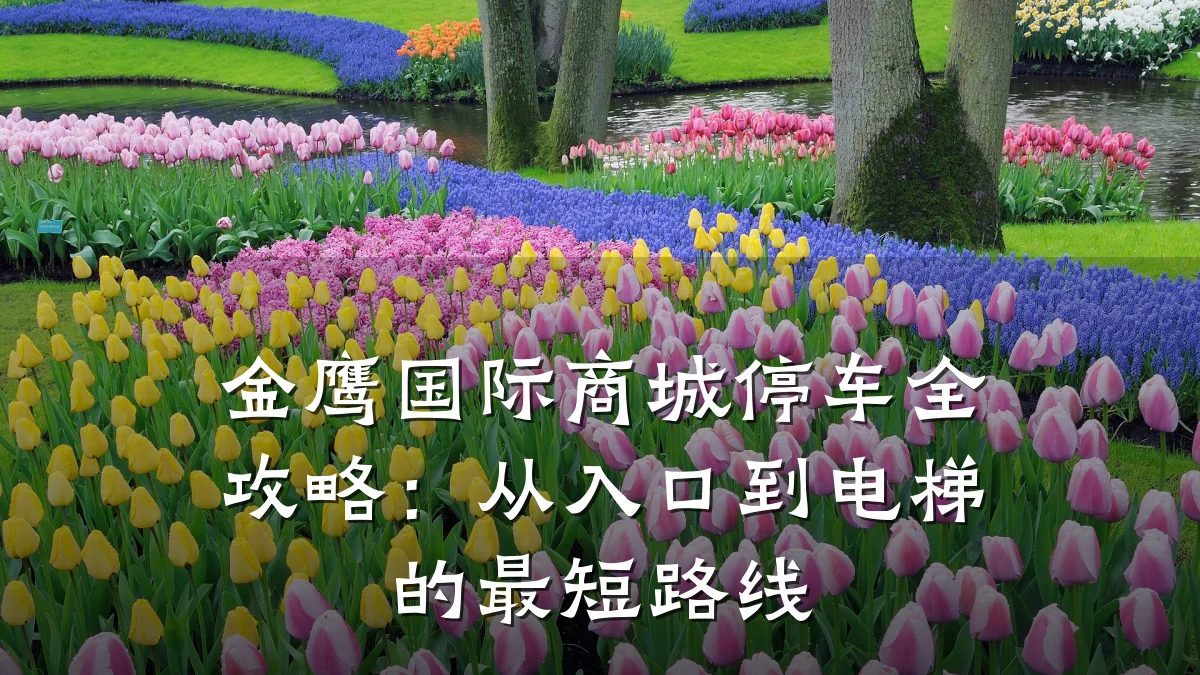 金鹰国际商城停车全攻略:从入口到电梯的最短路线