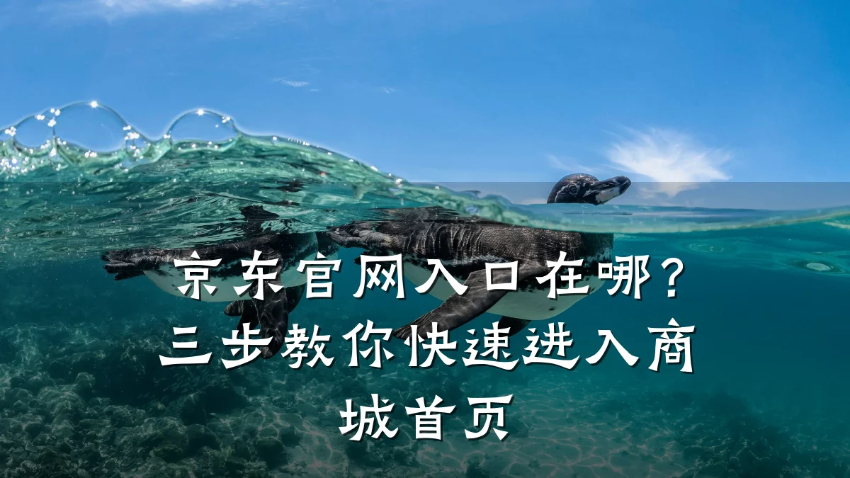 京东官网入口在哪？三步教你快速进入商城首页
