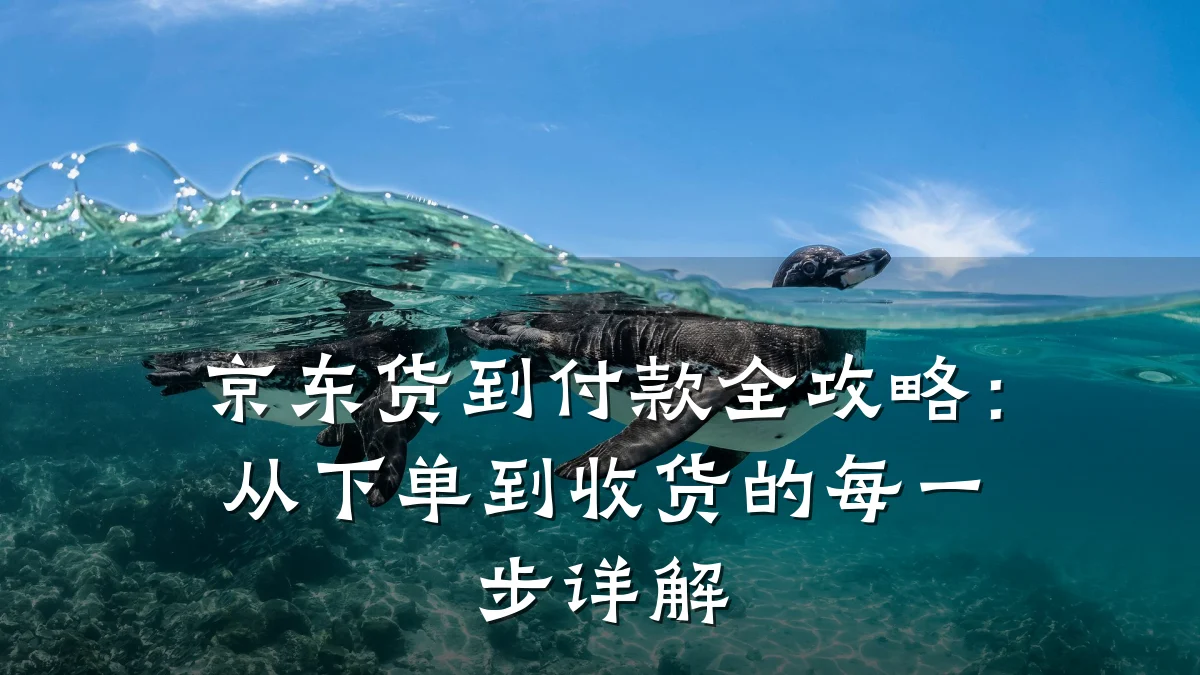 京东货到付款全攻略:从下单到收货的每一步详解