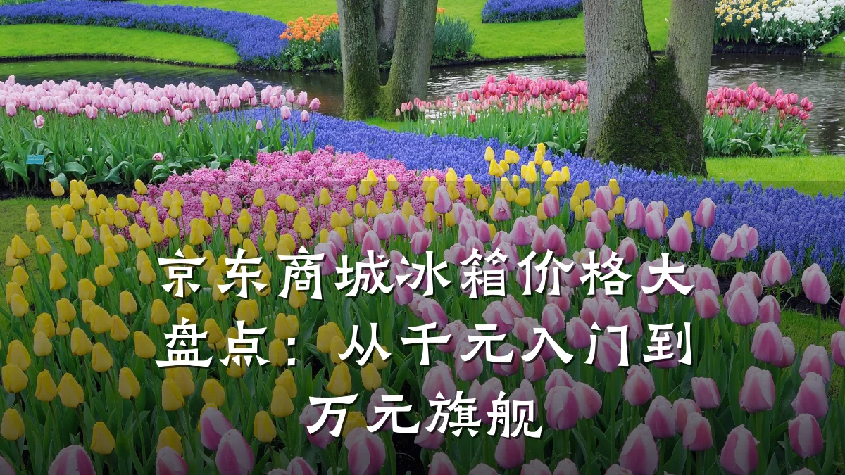 京东商城冰箱价格大盘点:从千元入门到万元旗舰