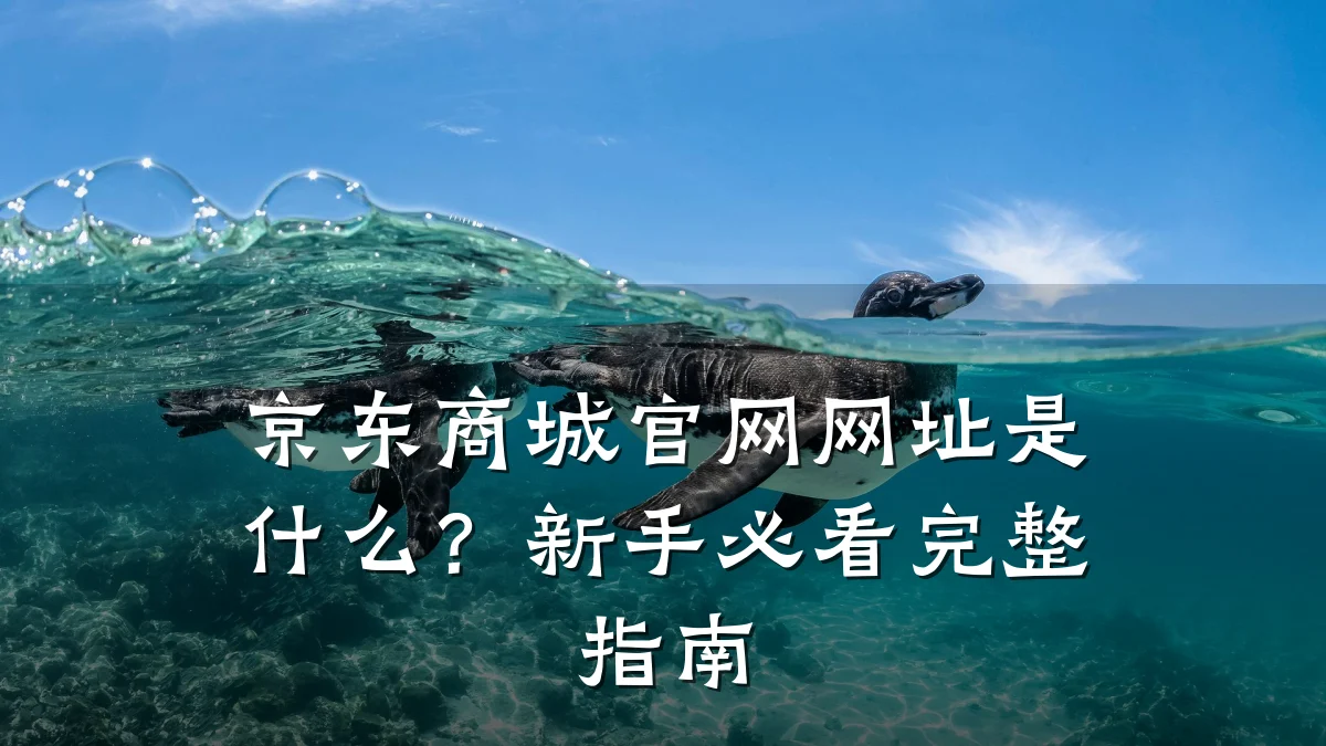 京东商城官网网址是什么?新手必看完整指南
