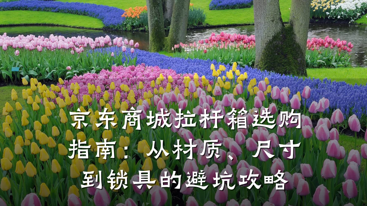 京东商城拉杆箱选购指南:从材质、尺寸到锁具的避坑攻略