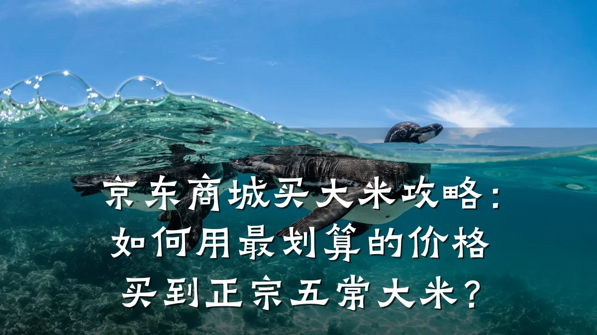 京东商城买大米攻略:如何用最划算的价格买到正宗五常大米?