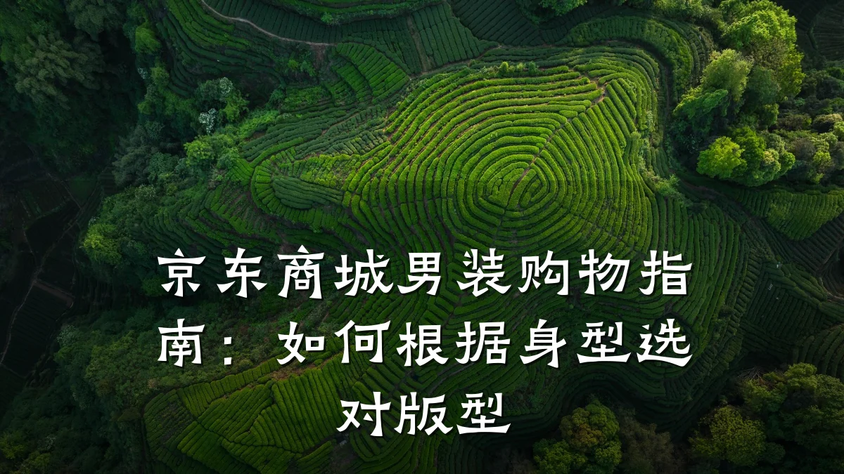 京东商城男装购物指南:如何根据身型选对版型