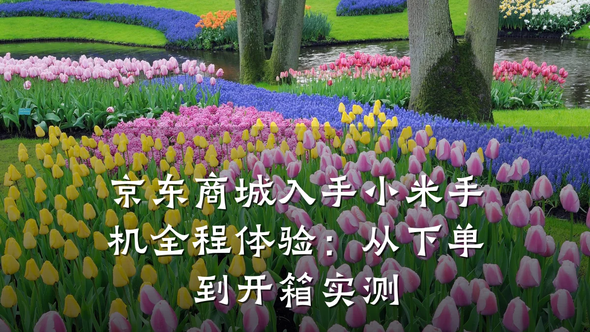 京东商城入手小米手机全程体验：从下单到开箱实测