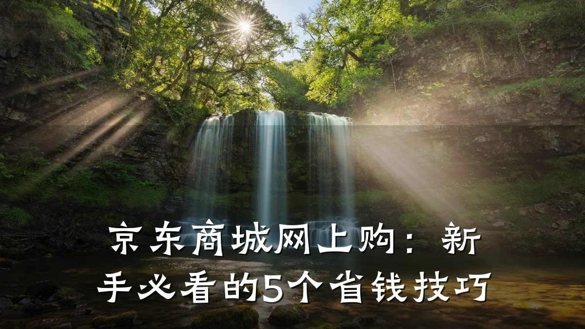 京东商城网上购:新手必看的5个省钱技巧