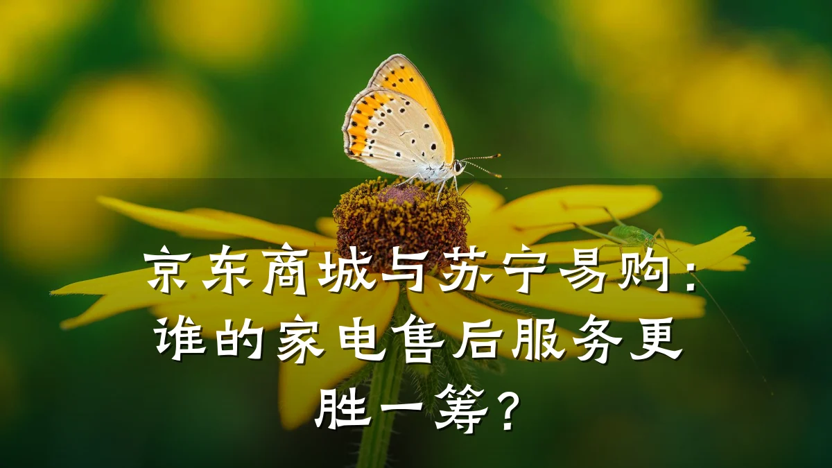 京东商城与苏宁易购:谁的家电售后服务更胜一筹?