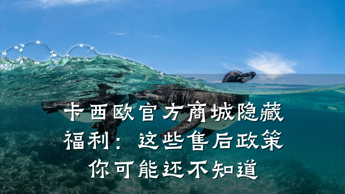 卡西欧官方商城隐藏福利:这些售后政策你可能还不知道