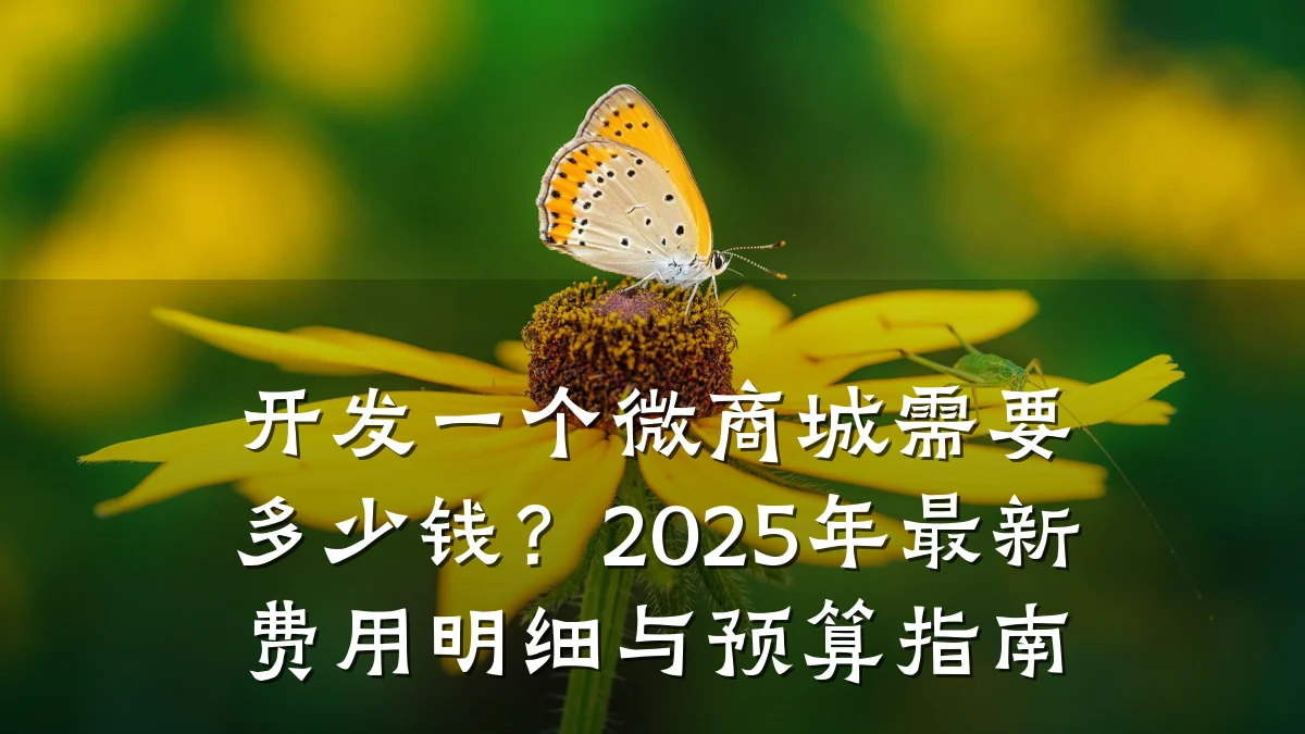 开发一个微商城需要多少钱?2025年最新费用明细与预算指南