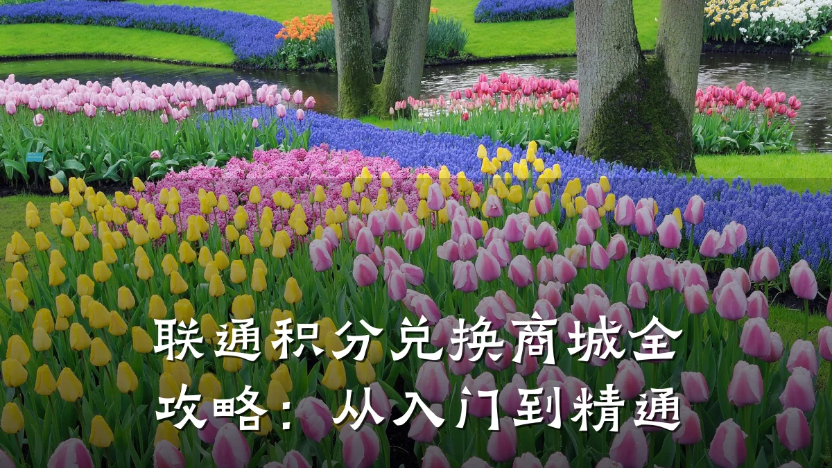 联通积分兑换商城全攻略:从入门到精通