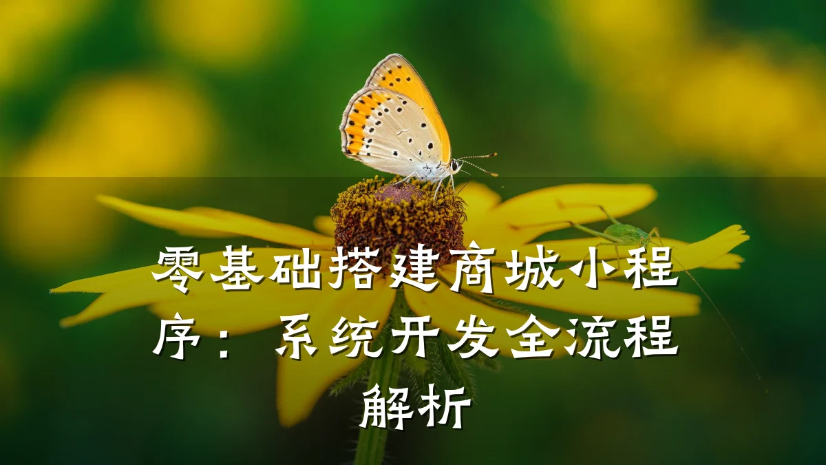 零基础搭建商城小程序：系统开发全流程解析