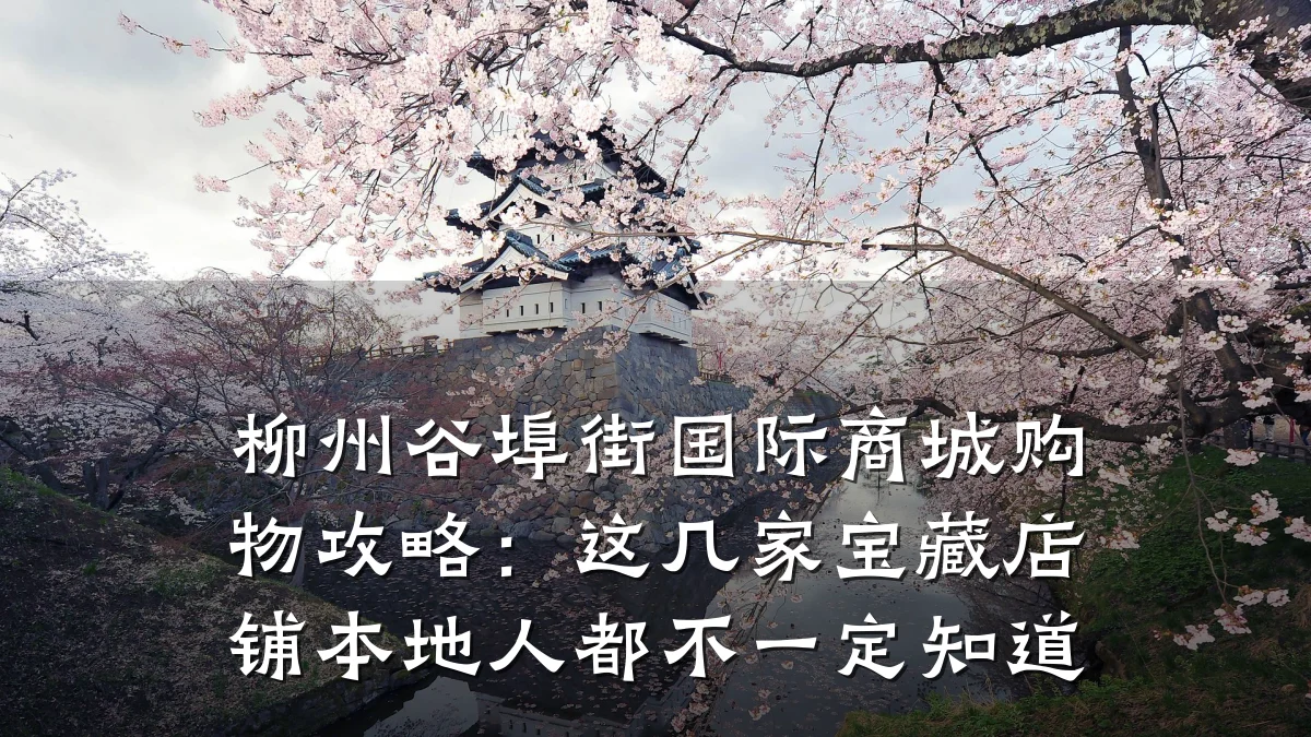 柳州谷埠街国际商城购物攻略:这几家宝藏店铺本地人都不一定知道