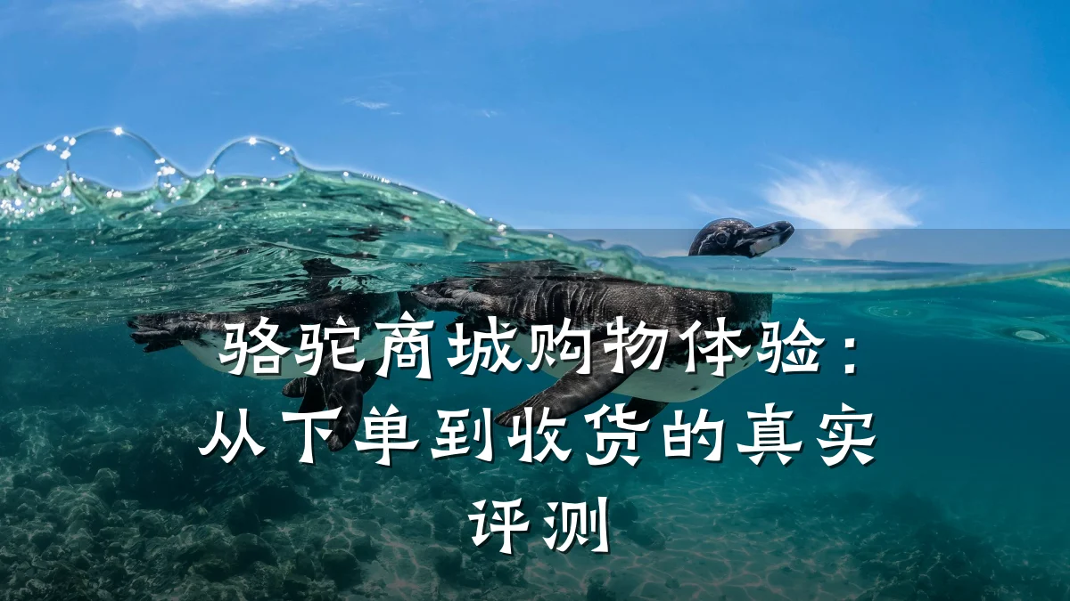 骆驼商城购物体验:从下单到收货的真实评测