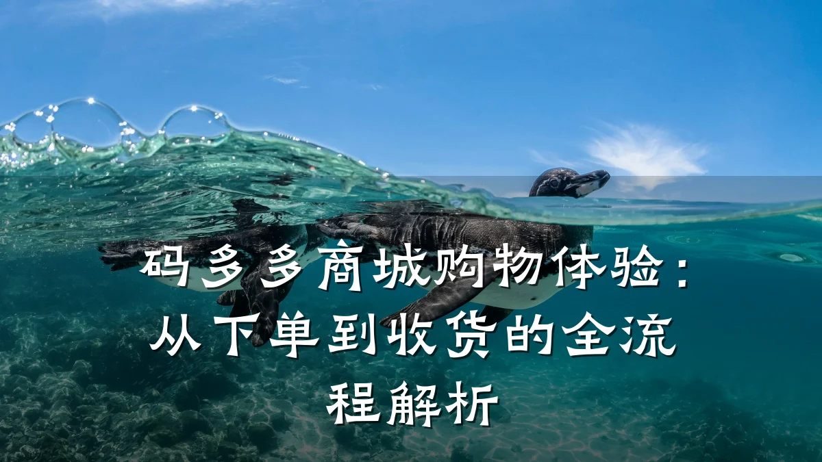 码多多商城购物体验:从下单到收货的全流程解析