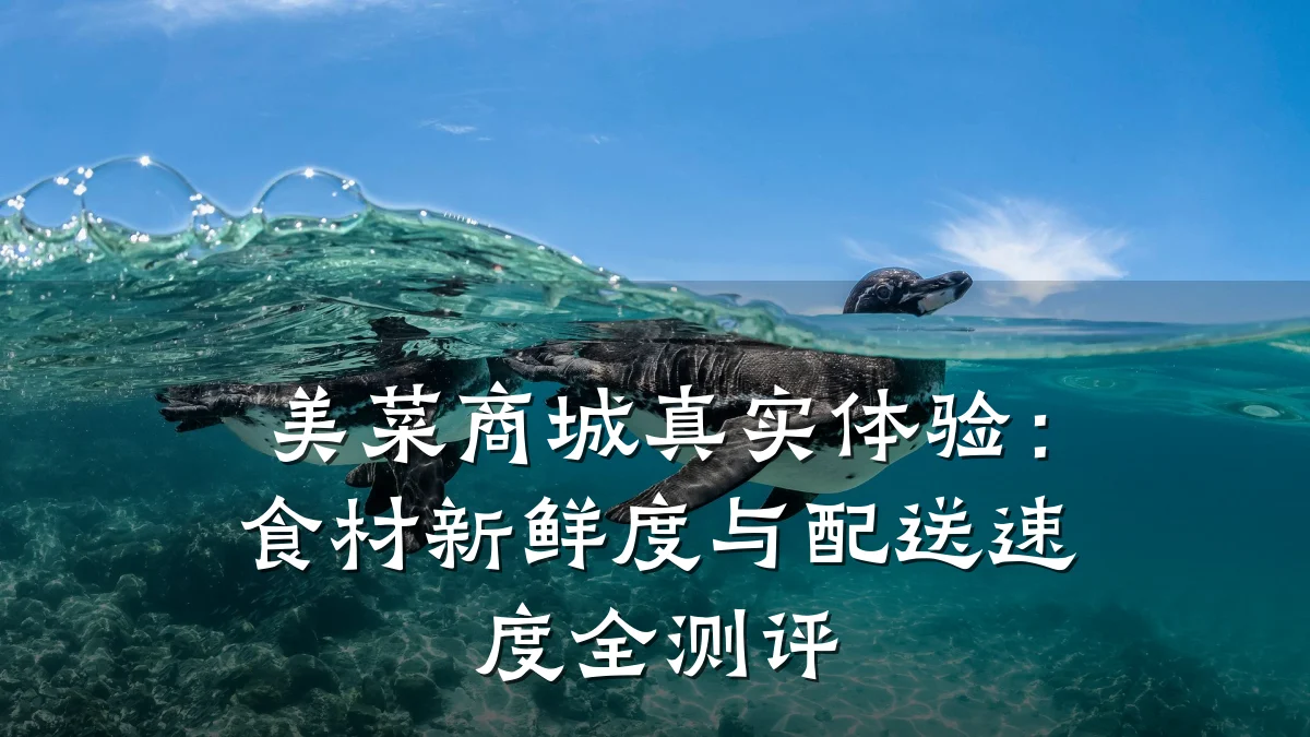 美菜商城真实体验:食材新鲜度与配送速度全测评