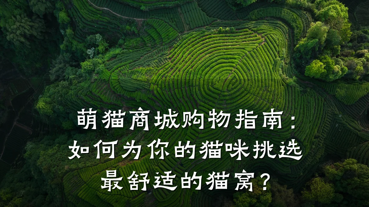 萌猫商城购物指南：如何为你的猫咪挑选最舒适的猫窝？