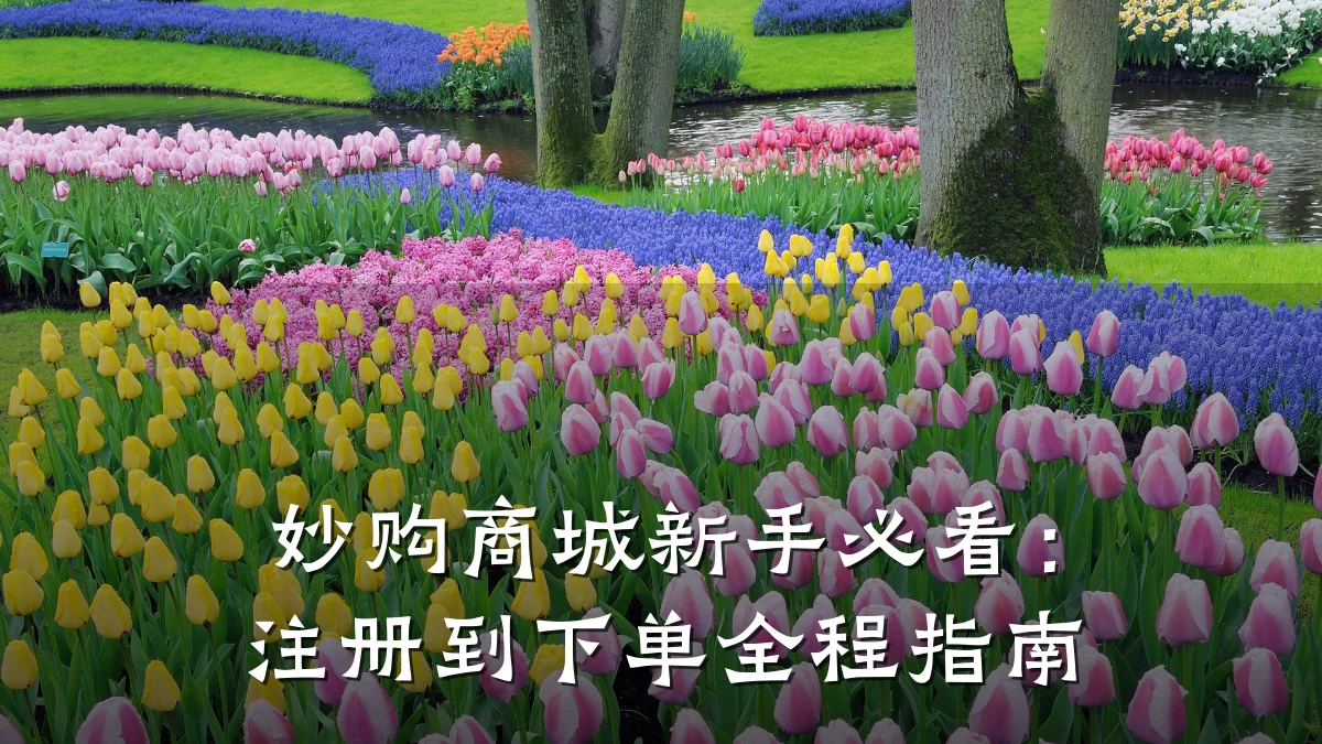 妙购商城新手必看:注册到下单全程指南
