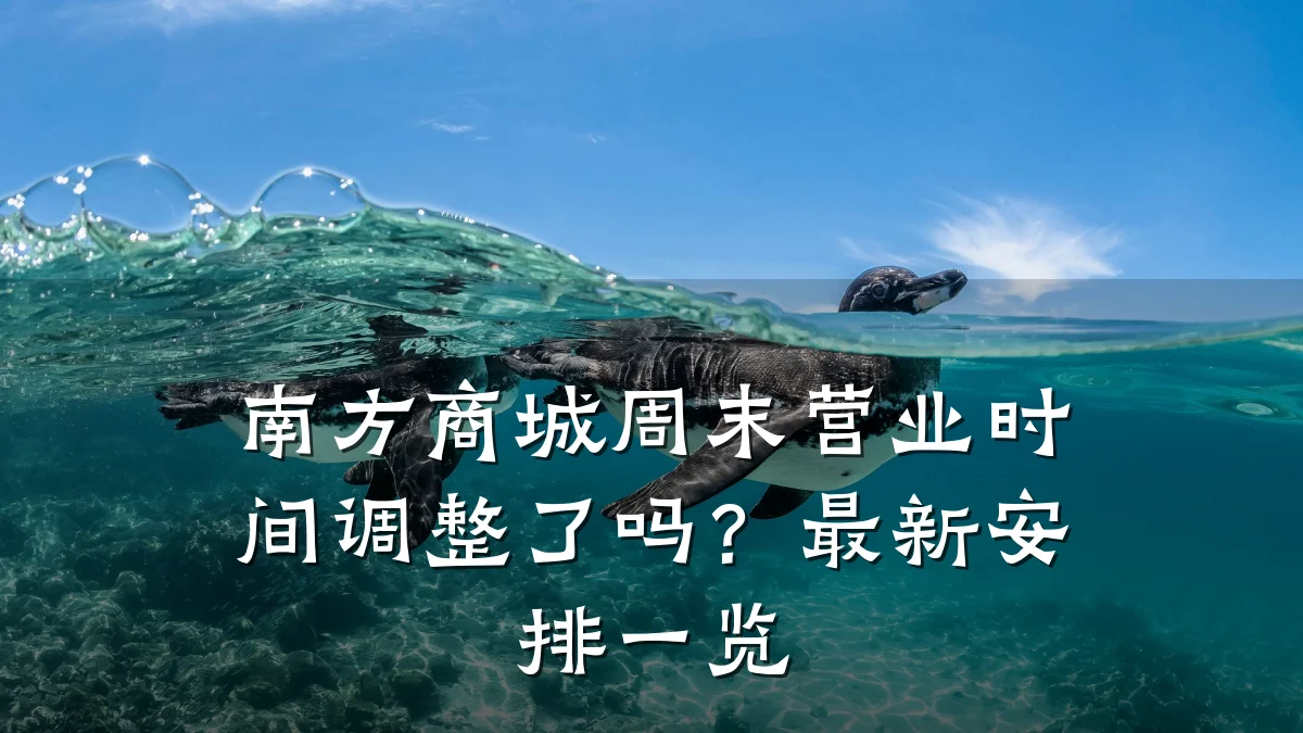 南方商城周末营业时间调整了吗?最新安排一览