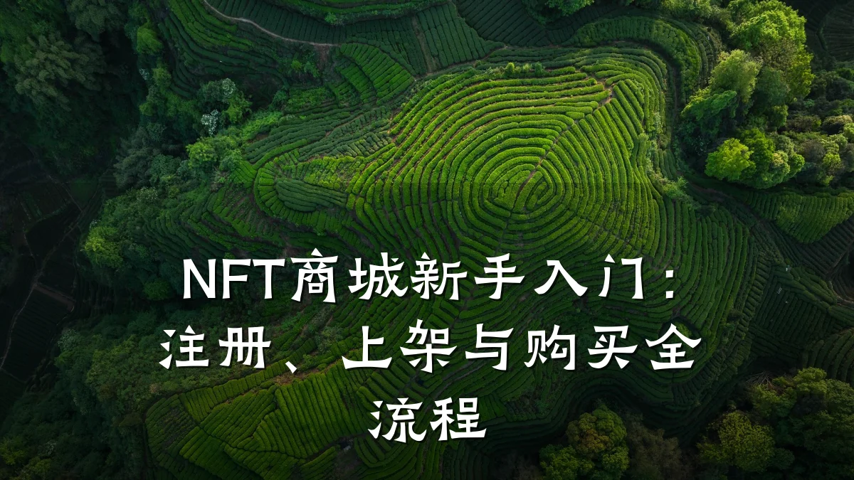 NFT商城新手入门:注册、上架与购买全流程