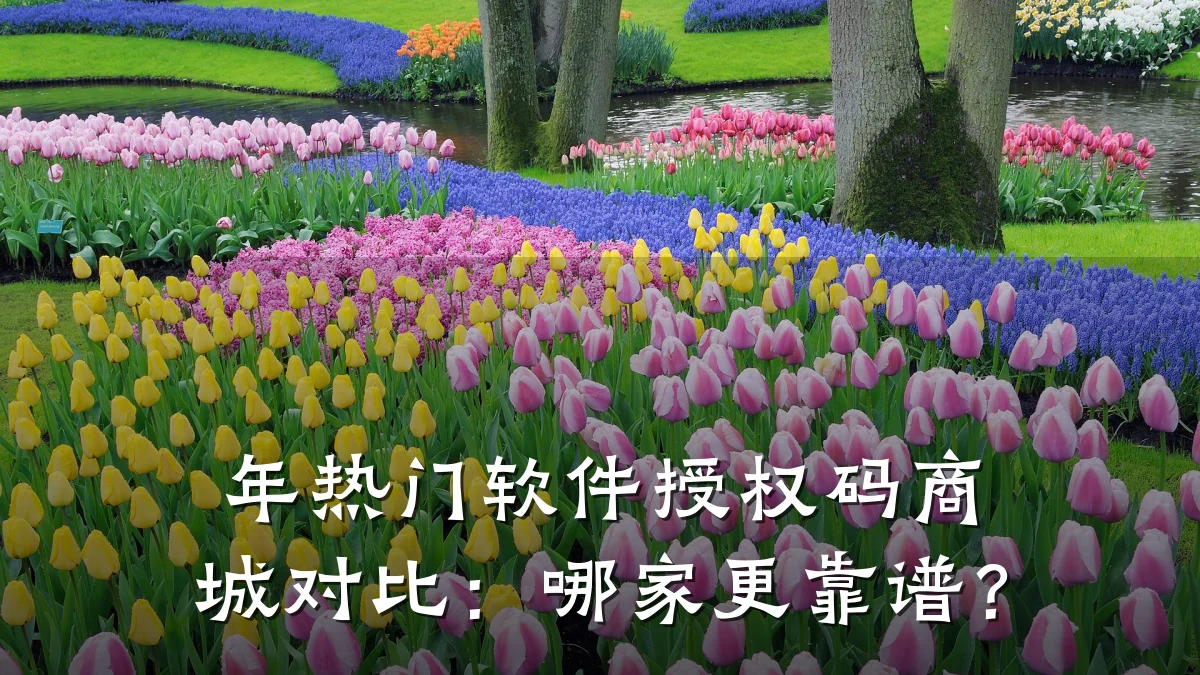 年热门软件授权码商城对比:哪家更靠谱?