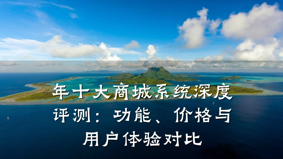 年十大商城系统深度评测：功能、价格与用户体验对比