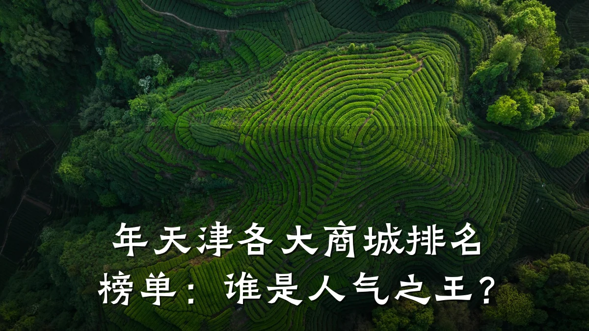 年天津各大商城排名榜单:谁是人气之王?