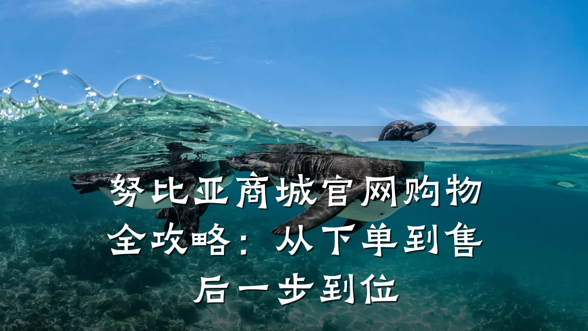 努比亚商城官网购物全攻略:从下单到售后一步到位