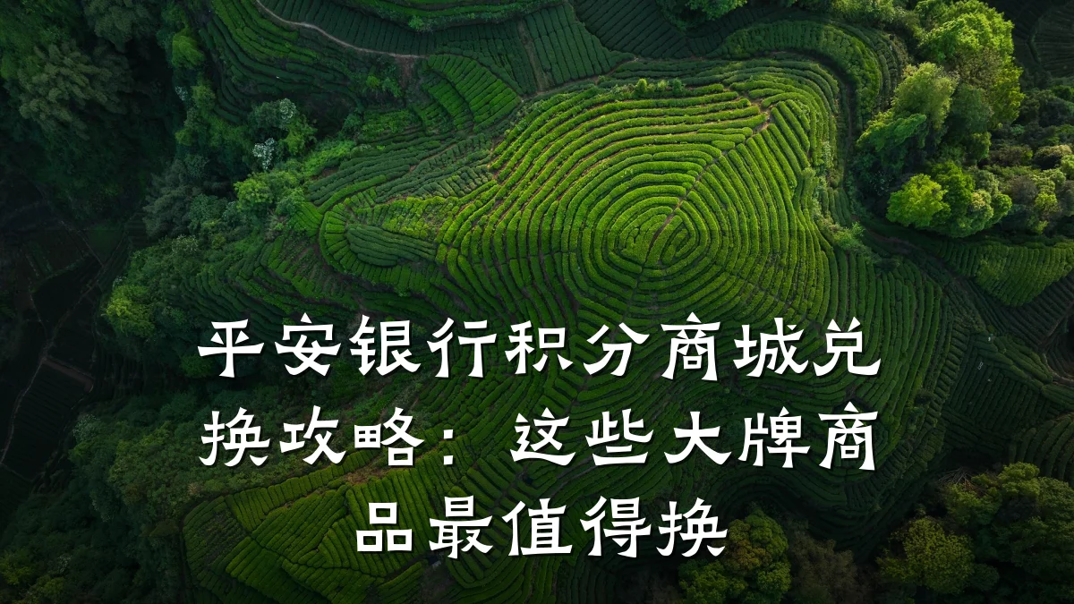 平安银行积分商城兑换攻略:这些大牌商品最值得换
