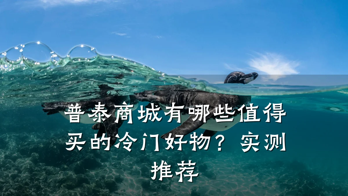 普泰商城有哪些值得买的冷门好物?实测推荐