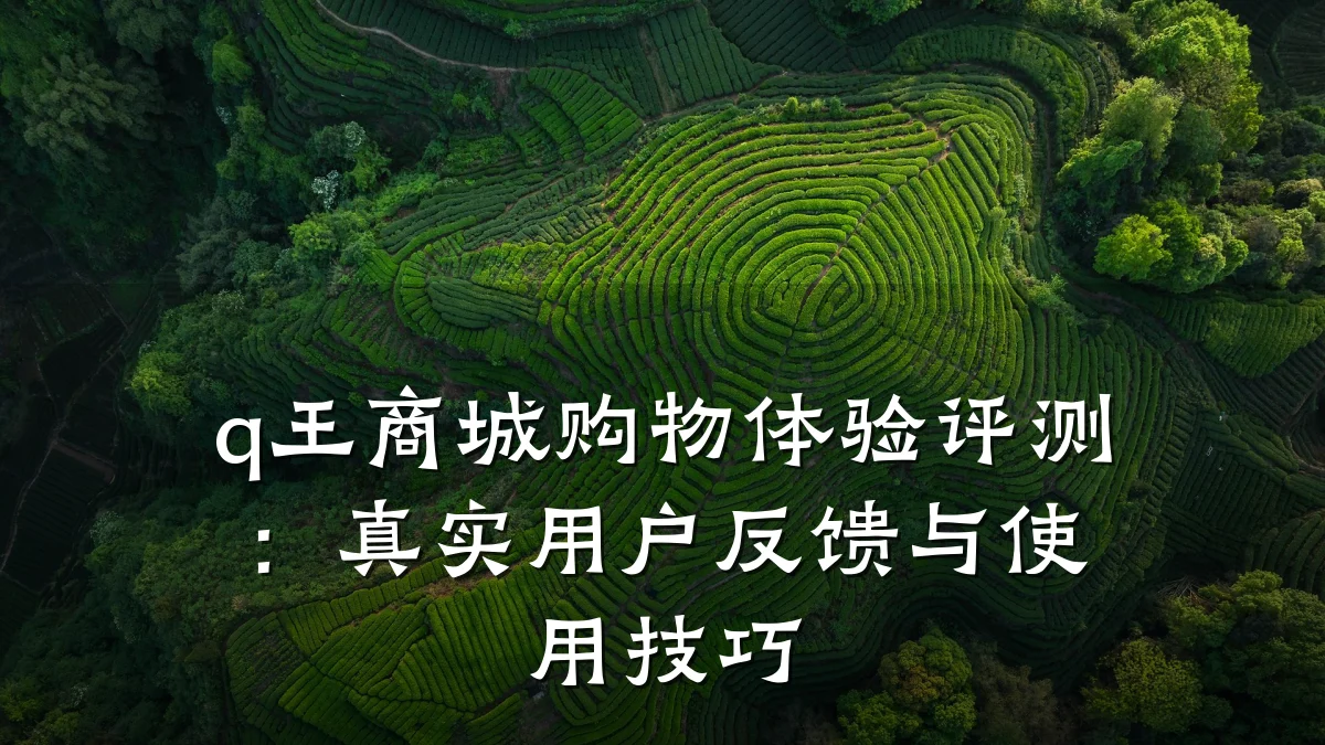 q王商城购物体验评测：真实用户反馈与使用技巧