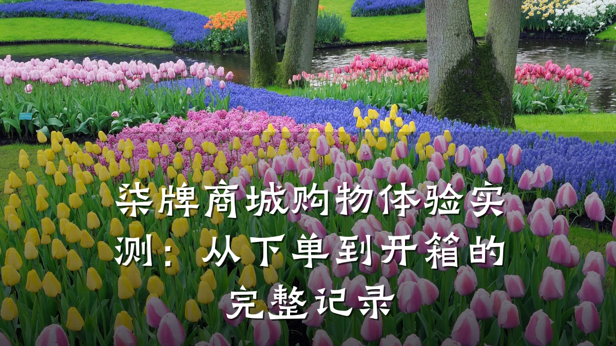 柒牌商城购物体验实测:从下单到开箱的完整记录