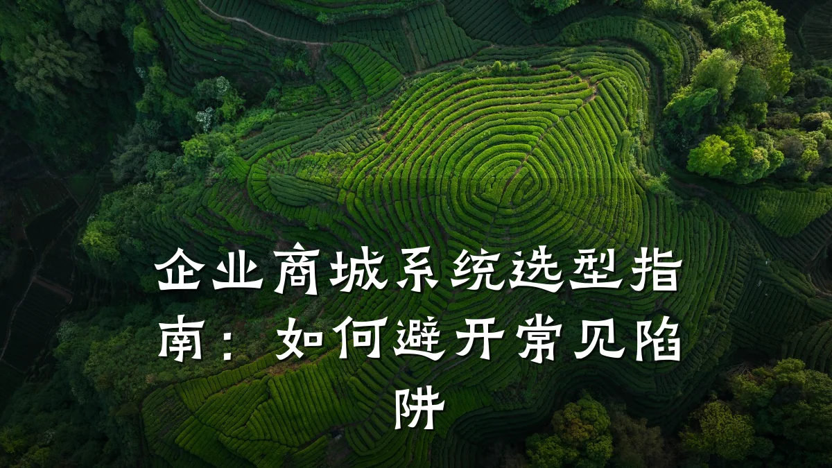 企业商城系统选型指南:如何避开常见陷阱
