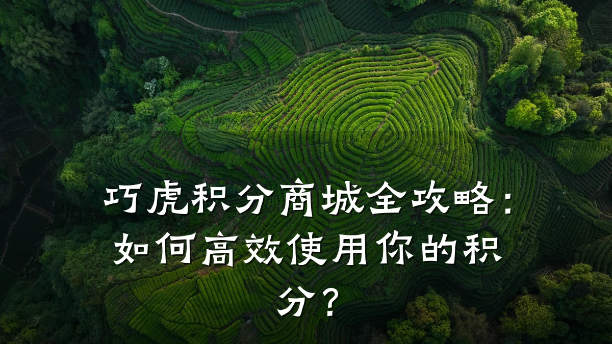 巧虎积分商城全攻略:如何高效使用你的积分?