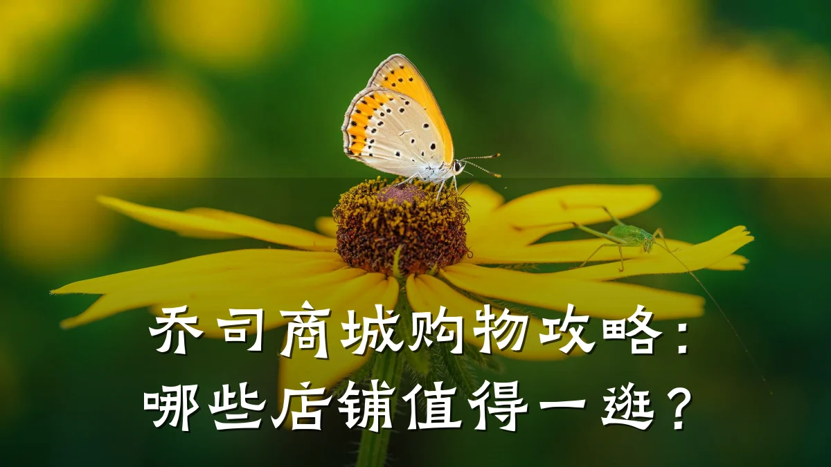 乔司商城购物攻略:哪些店铺值得一逛?