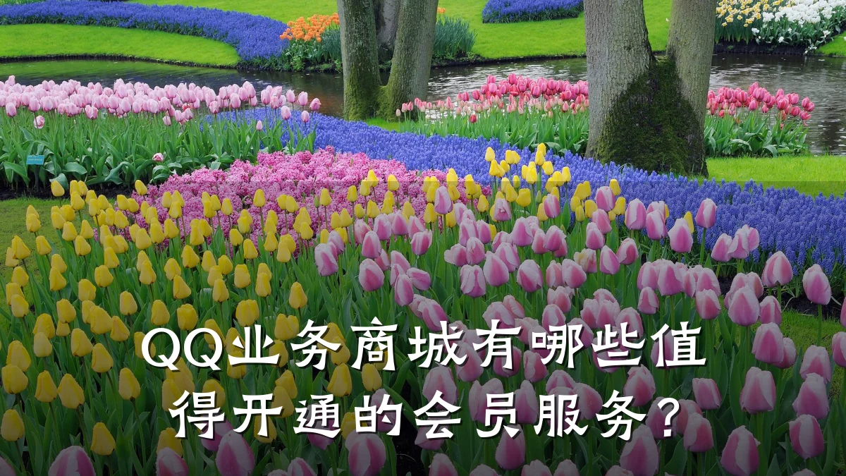 QQ业务商城有哪些值得开通的会员服务?
