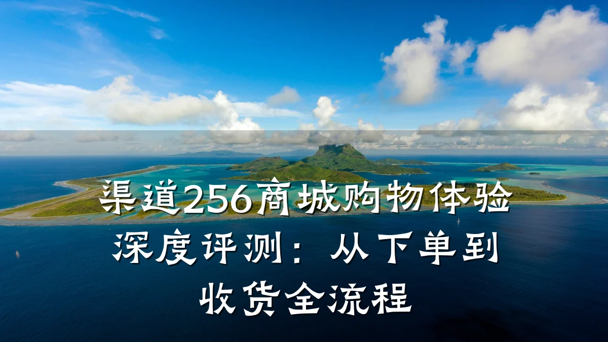 渠道256商城购物体验深度评测：从下单到收货全流程