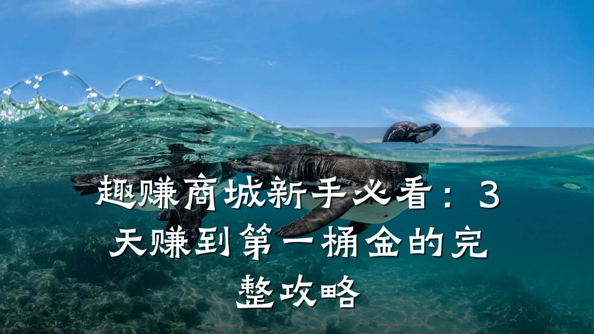 趣赚商城新手必看:3天赚到第一桶金的完整攻略