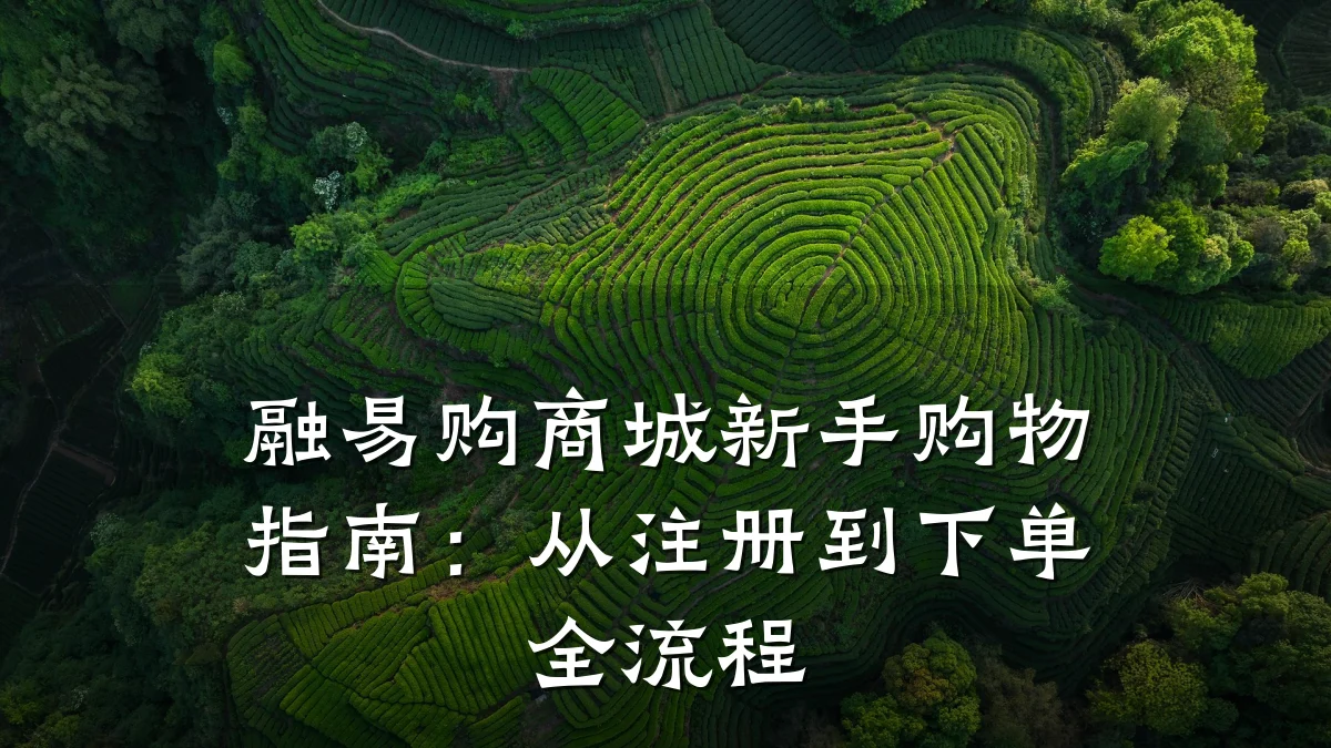 融易购商城新手购物指南：从注册到下单全流程