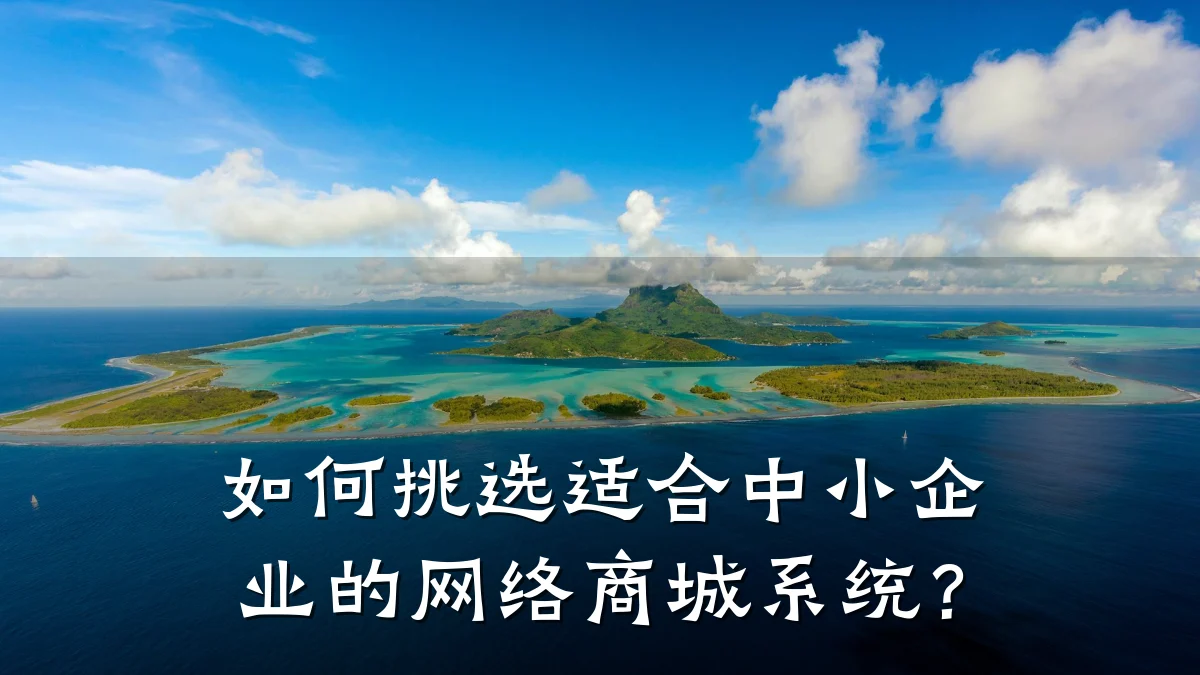 如何挑选适合中小企业的网络商城系统?