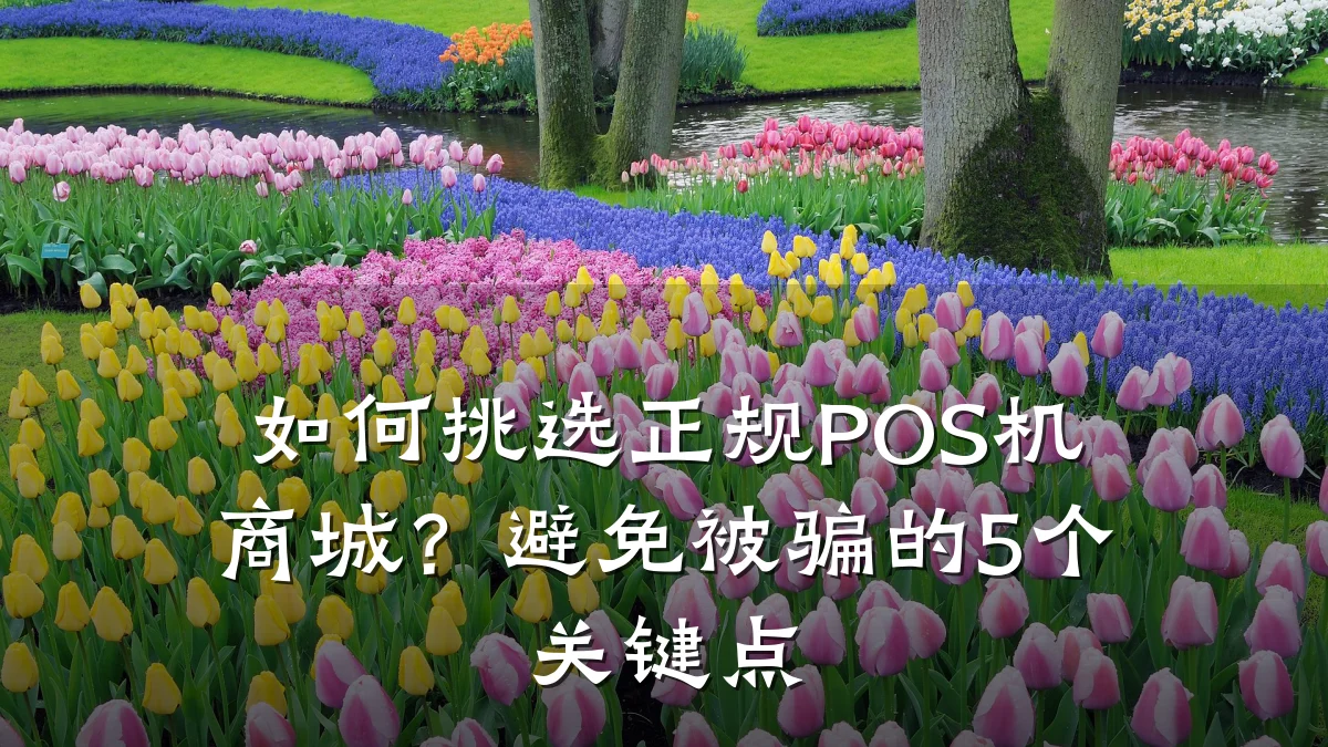 如何挑选正规POS机商城?避免被骗的5个关键点