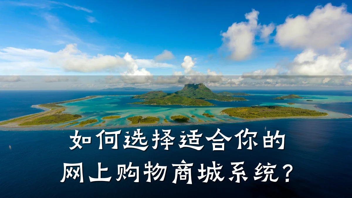 如何选择适合你的网上购物商城系统?
