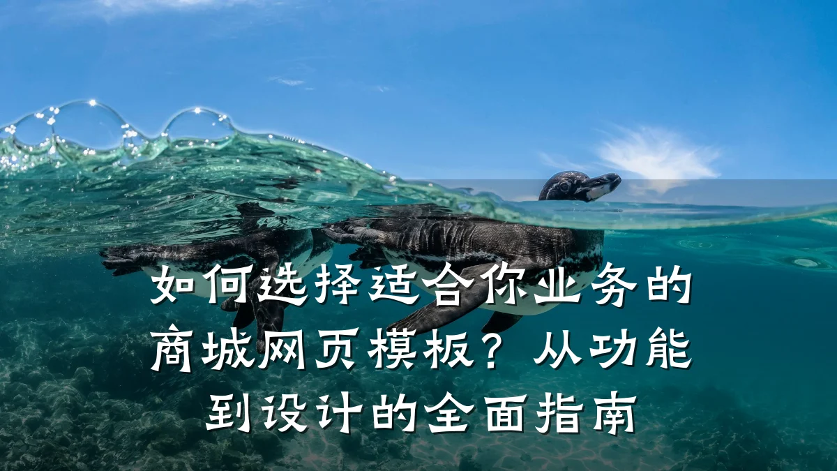 如何选择适合你业务的商城网页模板?从功能到设计的全面指南
