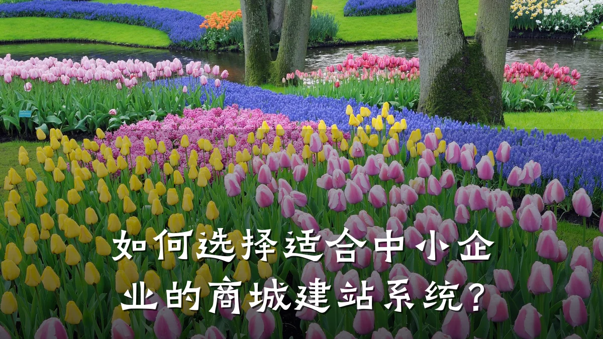 如何选择适合中小企业的商城建站系统?