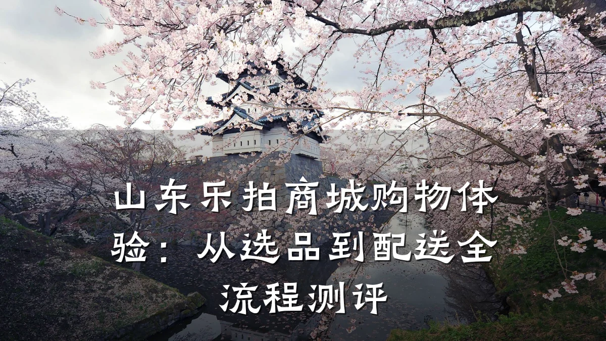 山东乐拍商城购物体验:从选品到配送全流程测评