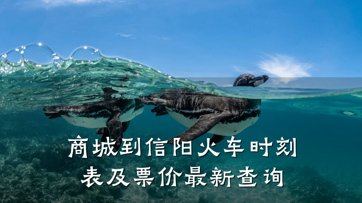 商城到信阳火车时刻表及票价最新查询