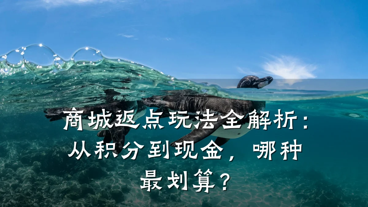 商城返点玩法全解析:从积分到现金,哪种最划算?